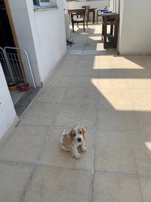 Nestor <3   ( RIO DE JANEIRO )